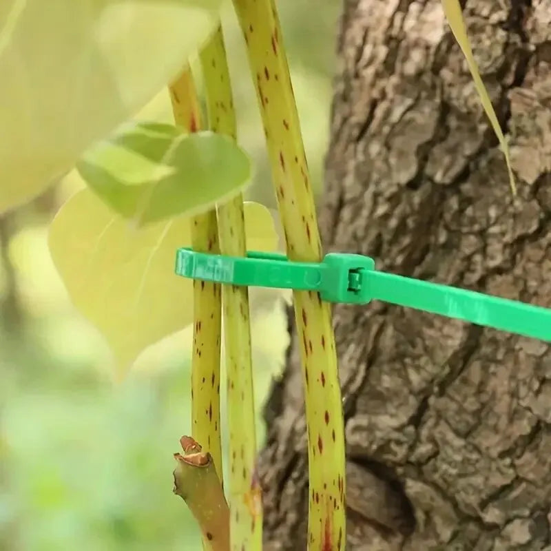 Gardening Plant Ties, Reusable Plant Support Ties, Adjustable Garden Zip Ties for Securing Plants, Vines & Stems