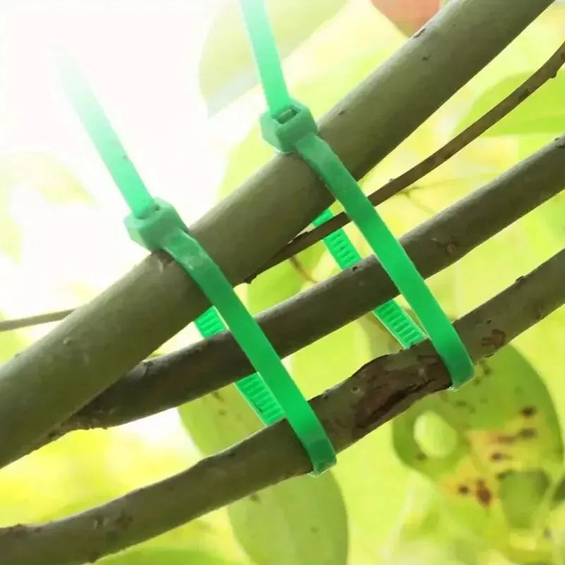 Gardening Plant Ties, Reusable Plant Support Ties, Adjustable Garden Zip Ties for Securing Plants, Vines & Stems